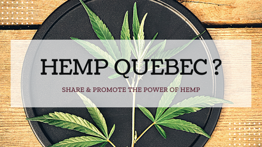 What do you really know about hemp?