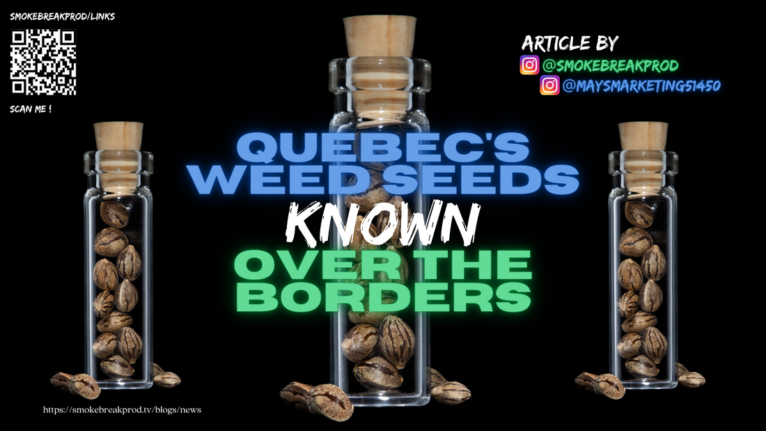 Quebec’s Weed Seeds Known Over the Borders