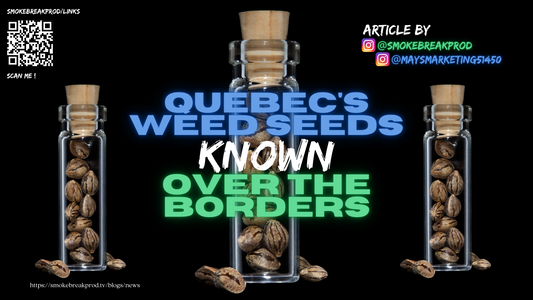 Quebec’s Weed Seeds Known Over the Borders